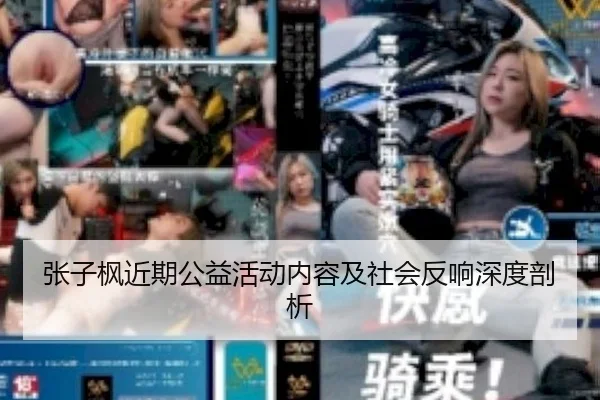 张子枫近期公益活动内容及社会反响深度剖析